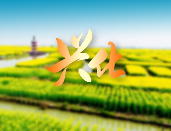 戴南文化藝術中心舞臺機械 舞臺吊桿 舞臺阻燃幕布項目 助力本地文化演出升級，為觀眾帶來更優質的視聽體驗！